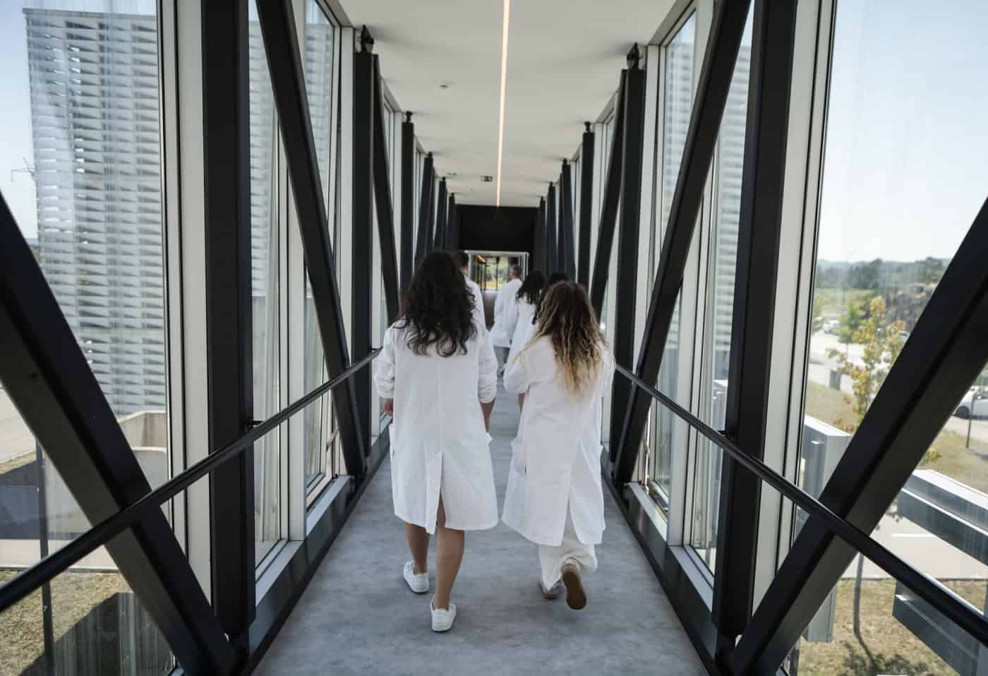 Bolseiros de investigação já podem dar aulas no básico e secundário