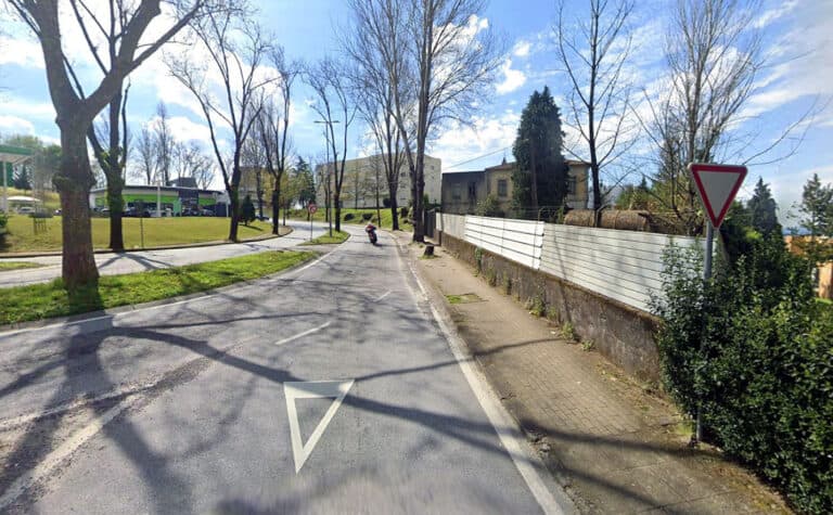 Braga. Abate de árvores em risco condiciona trânsito na manhã de sábado