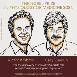 Nobel da Medicina atribuído a Victor Ambros e Gary Ruvkun
