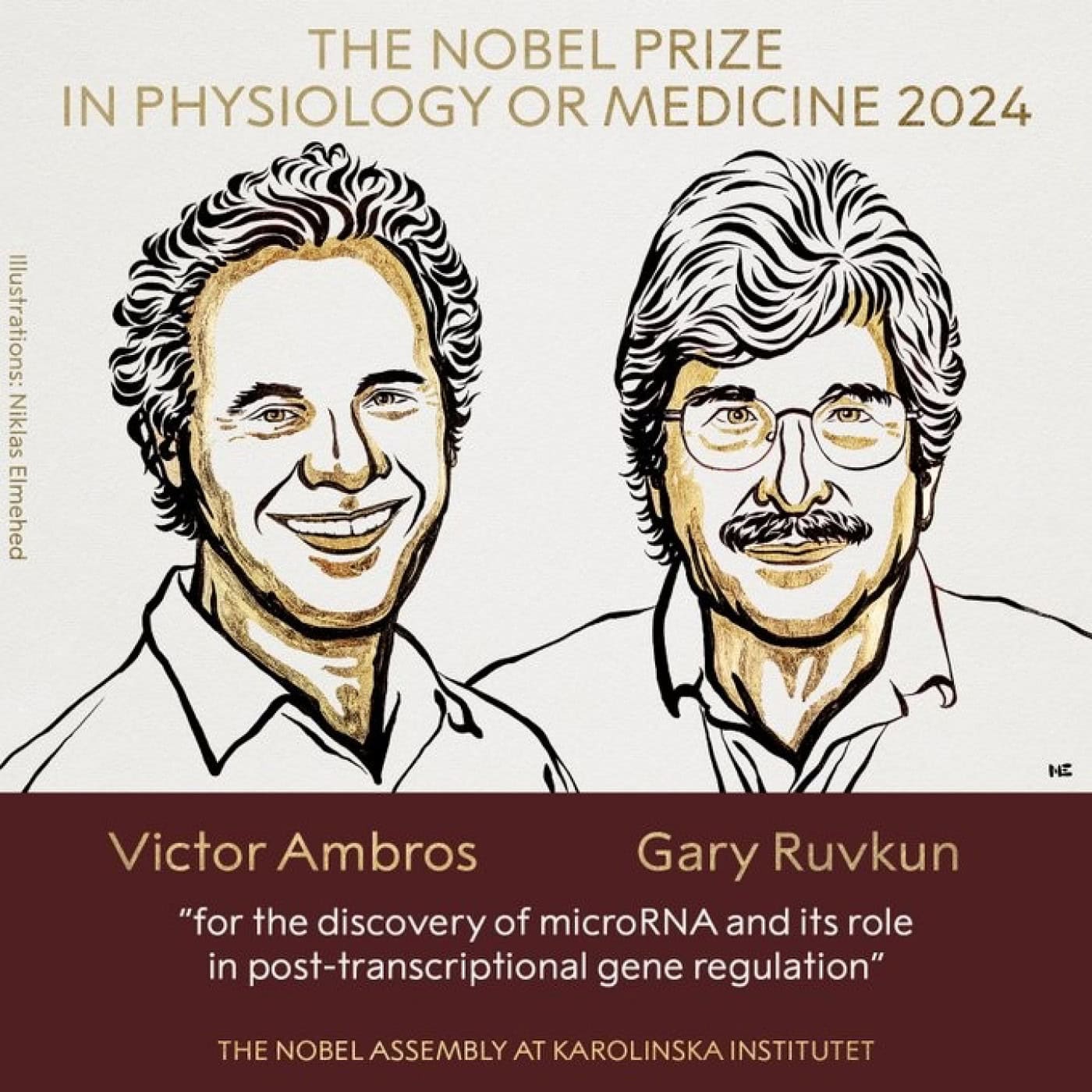 Nobel da Medicina atribuído a Victor Ambros e Gary Ruvkun