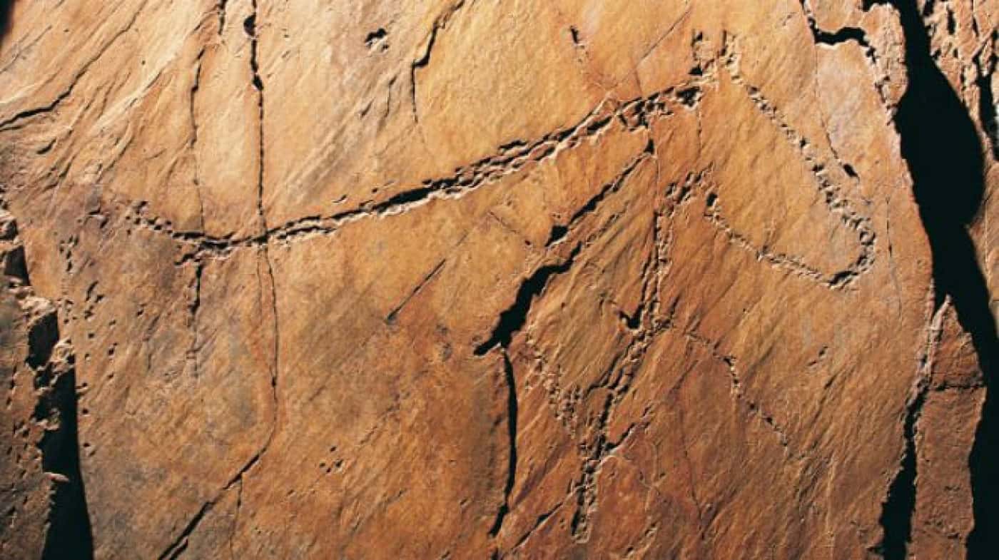 Braga. Museu de Arqueologia assinala Dia Europeu da Arte Rupestre