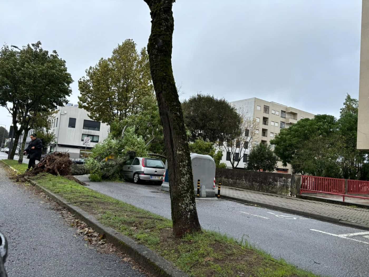 Tempestade provoca falhas de energia e queda de árvores na região