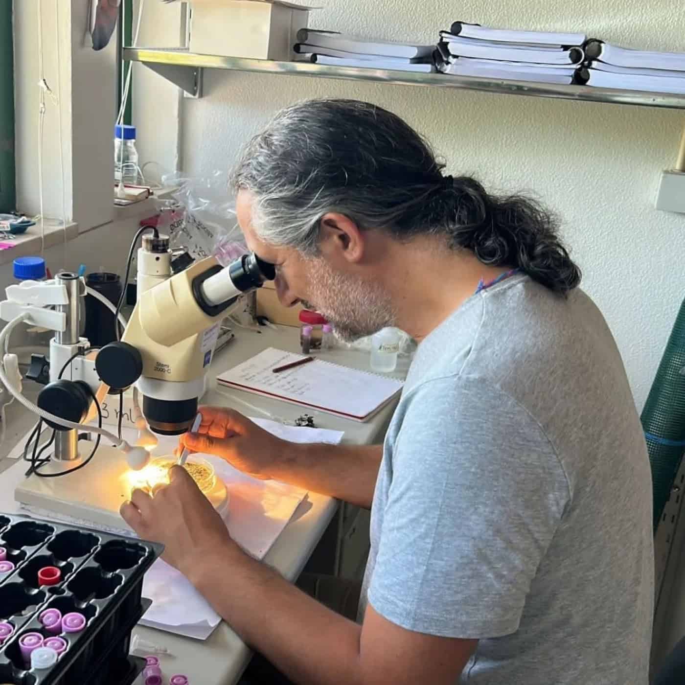 Investigador da UMinho descobre nova espécie marinha