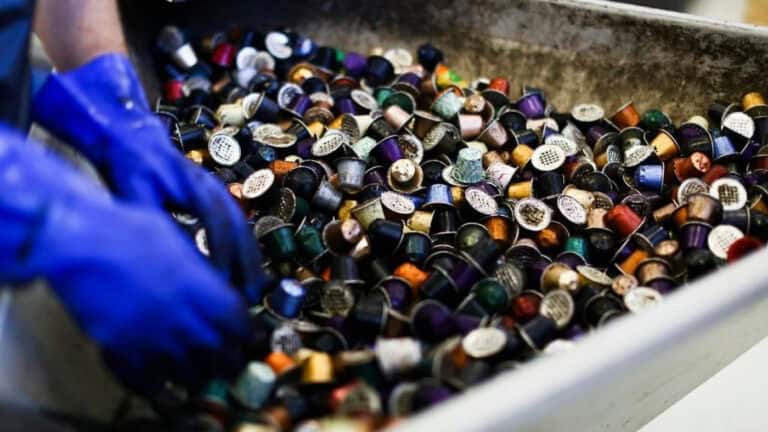 Guimarães recolheu mais de 1 milhão de cápsulas de café desde junho de 2023