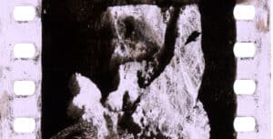 Exposição 'Luxúria' de Pedro Bastos no Museu de Alberto Sampaio