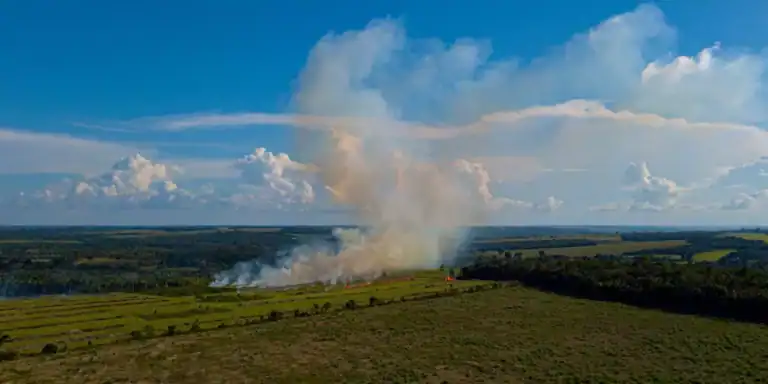 COP29: Brasil quer mais dinheiro para fundo climático sem aumentar número de países doadores&nbsp;