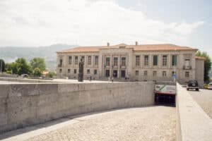 Oposição preocupada com número elevado de avenças no Parque da Mumadona