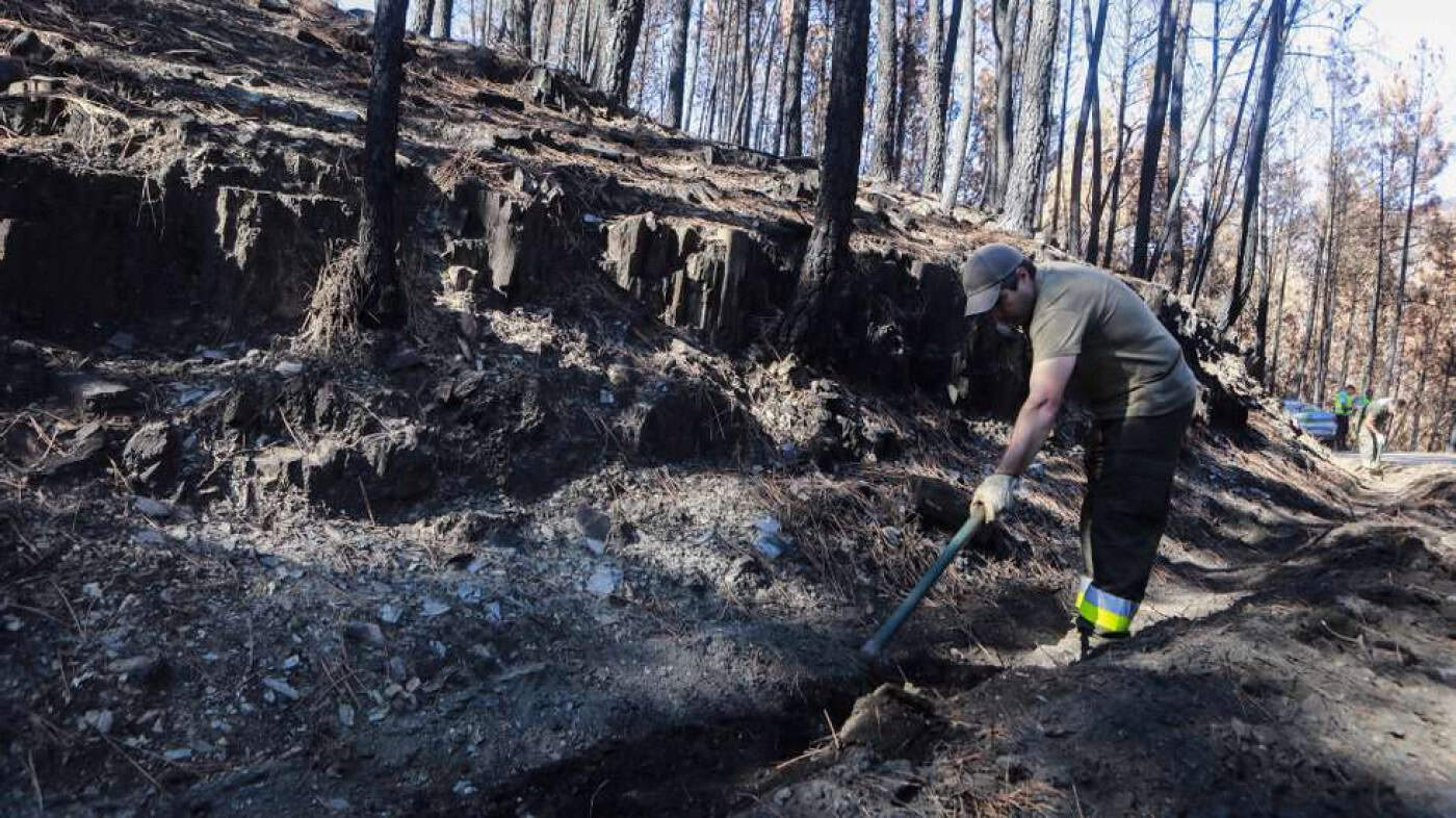 Incêndios. Mais de 460 freguesias com explorações agrícolas na lista para apoio de 50ME
