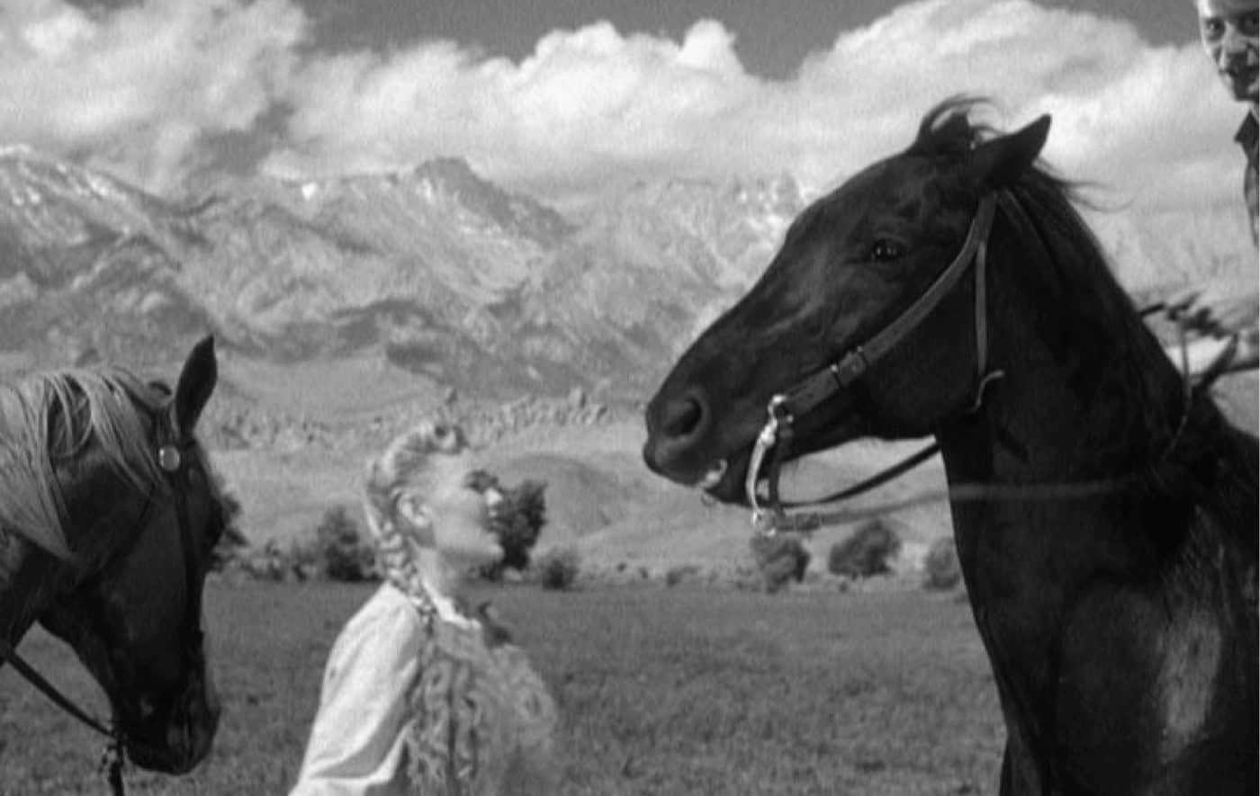 'Black Midnight' em exibição no Cineclube de Braga esta terça-feira