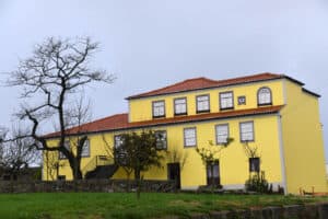 Câmara de Famalicão abre inquérito interno ao derrube não autorizado da&nbsp; réplica da velha Acácia do Jorge