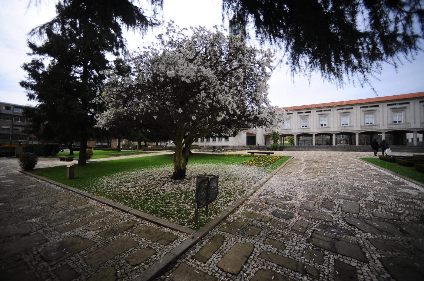 Queixa contra Câmara de Famalicão por publicidade em período eleitoral no MP&nbsp;