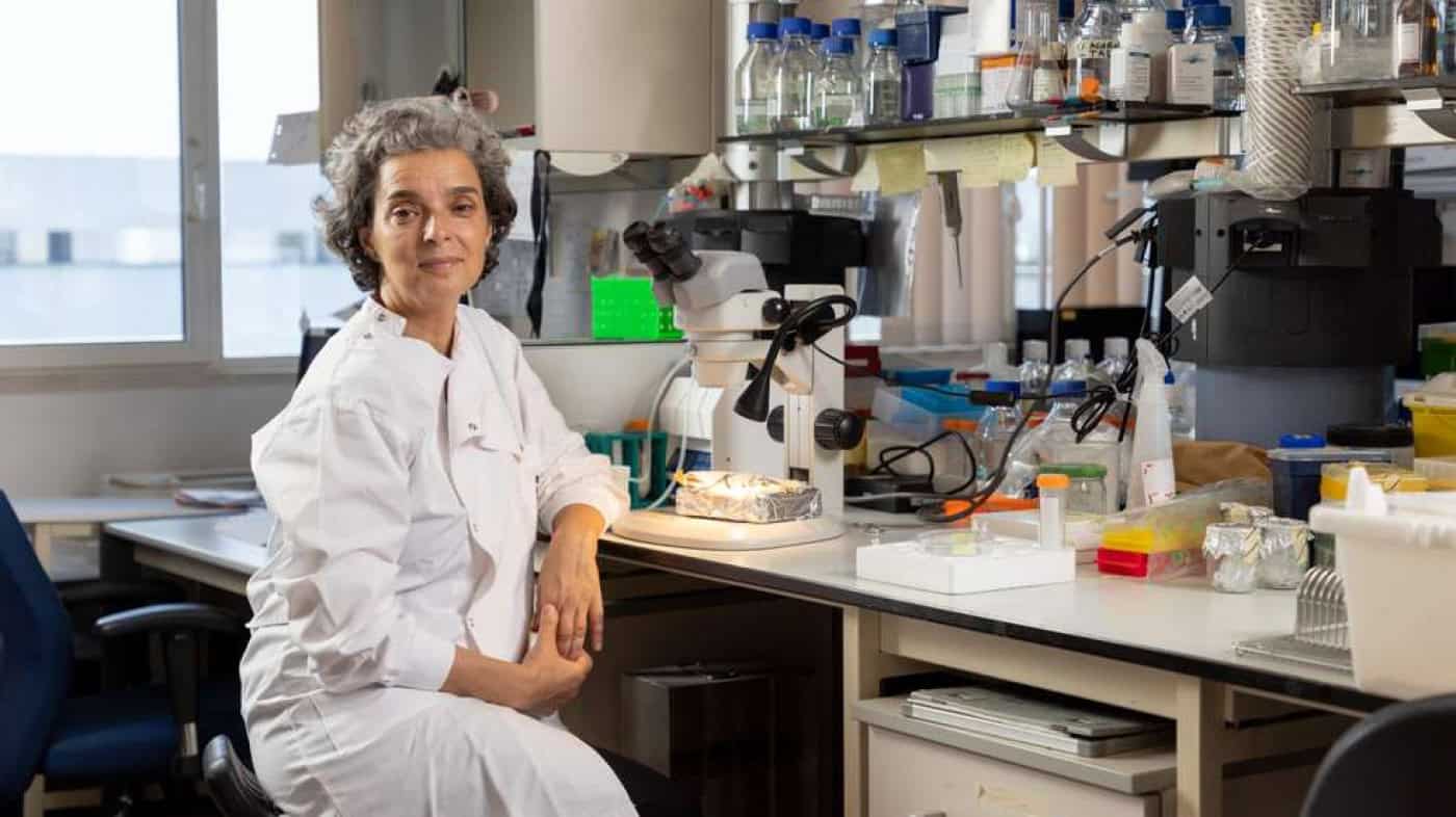 Maria Manuel Mota contra o “crónico subfinanciamento” na ciência