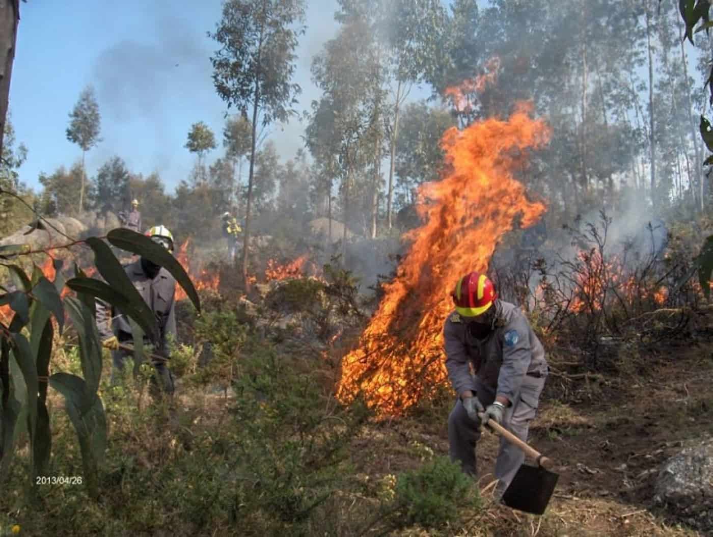 Proteção Civil do Distrito de Braga faz balanço de ocorrências de 2024