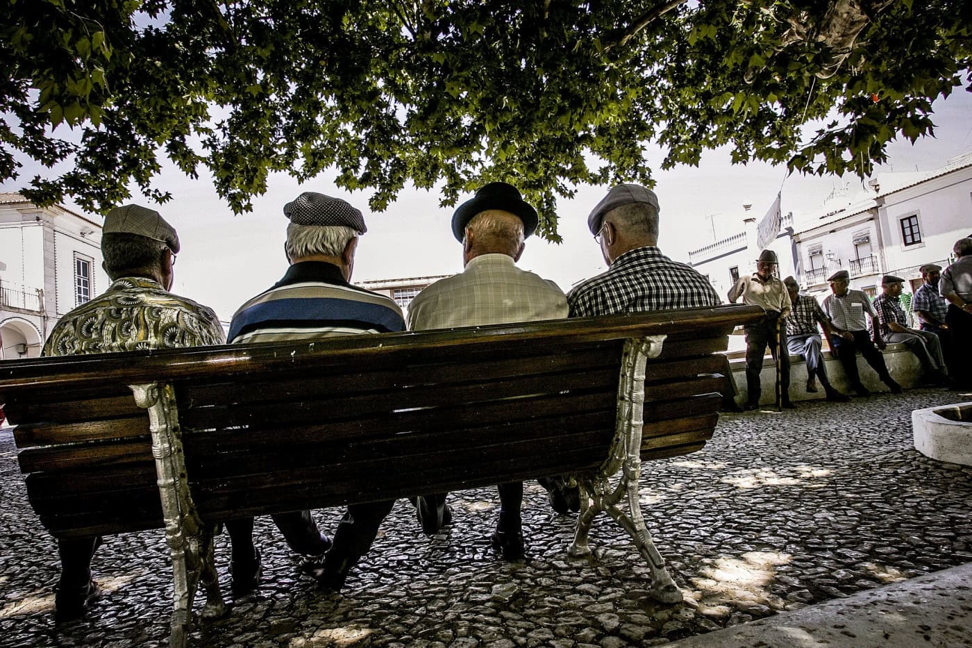 Quase 155.500 pensões já foram atribuídas este ano e têm 1.ª atualização em janeiro
