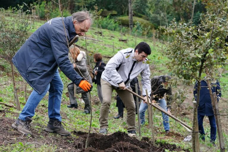 CAM plantou 500 árvores no Bom Jesus para compensar&nbsp;impacto carbónico da Rampa da Falperra