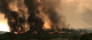 Poluição atmosférica devido a incêndios ligada a 1,5 milhões de mortes anuais