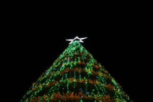 Parada de Natal de Famalicão decorre este domingo