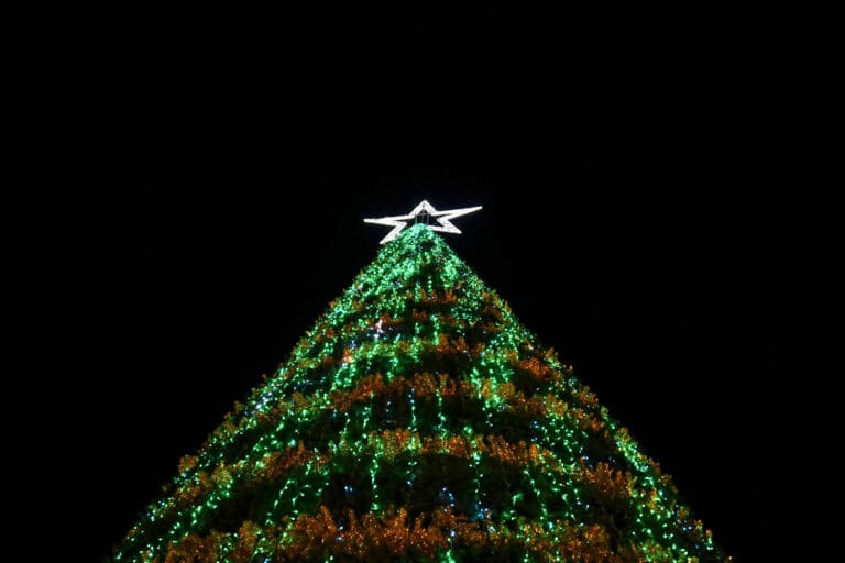 Parada de Natal de Famalicão decorre este domingo