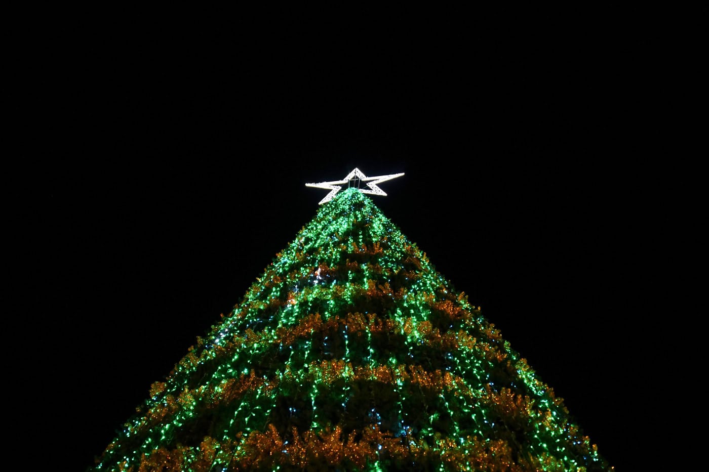 Parada de Natal de Famalicão decorre este domingo