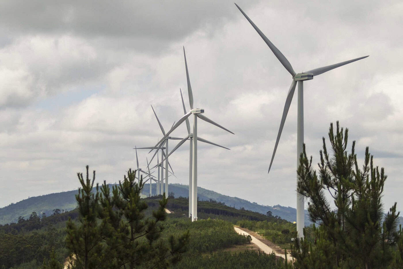 Construção do maior parque eólico do país arranca em 2025 entre Braga e Vila Real