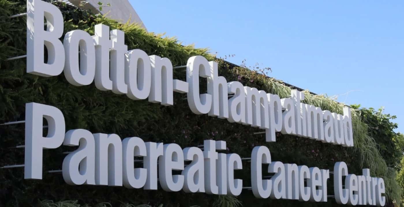 Estudo da Fundação Champalimaud poderá facilitar deteção precoce do cancro do pâncreas