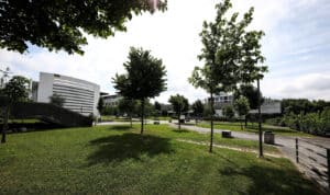 UMinho é a 130.ª academia mais sustentável no mundo