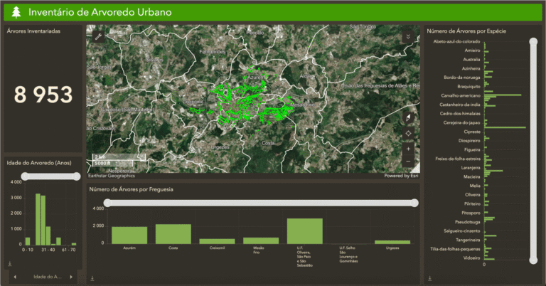 Guimarães disponibiliza inventário do património arbóreo em plataforma online