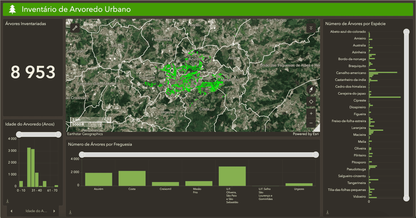 Guimarães disponibiliza inventário do património arbóreo em plataforma online