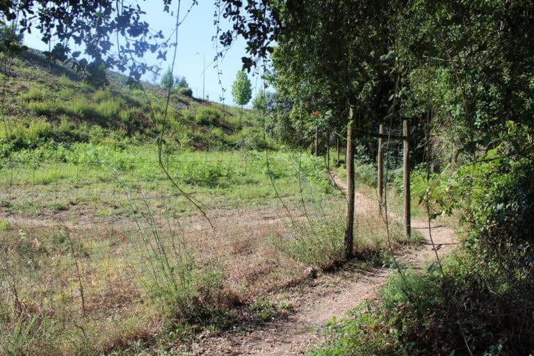 Governo cede 9 hectares à CMB para Parque Ecomonumental a partir de 6ª feira