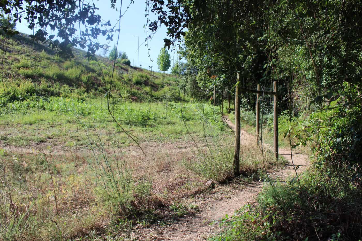 Governo cede 9 hectares à CMB para Parque Ecomonumental a partir de 6ª feira&nbsp;&nbsp;