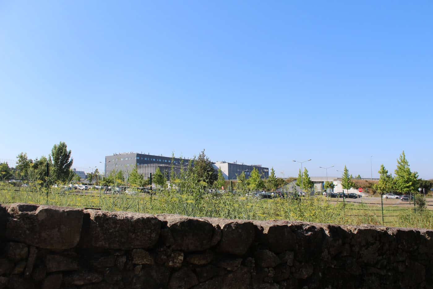 Ministra da Saúde em Braga para cedência de terrenos nas Sete Fontes