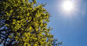 Natal com sol e pouco frio em Portugal Continental&nbsp;