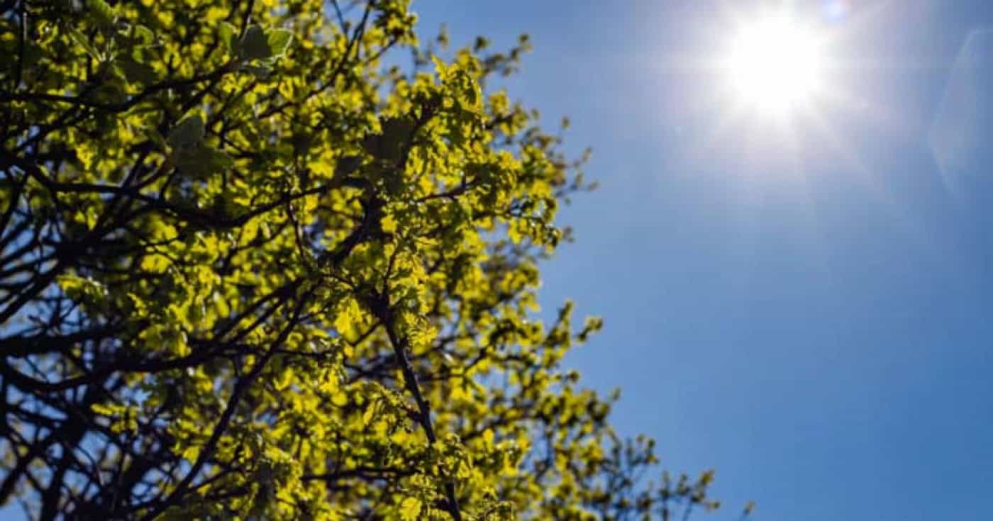 Natal com sol e pouco frio em Portugal Continental