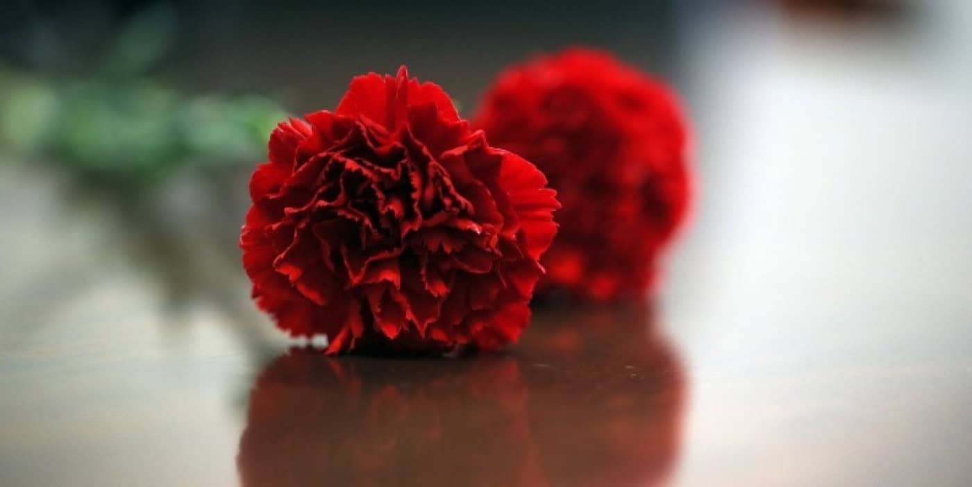 'Liberdade' eleita palavra do ano de 2024