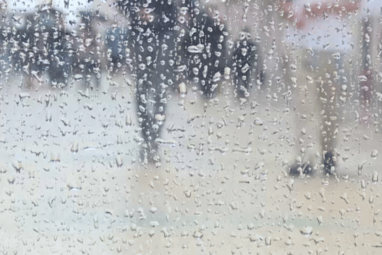 Braga entre os três distritos do continente sob aviso laranja devido à chuva e vento