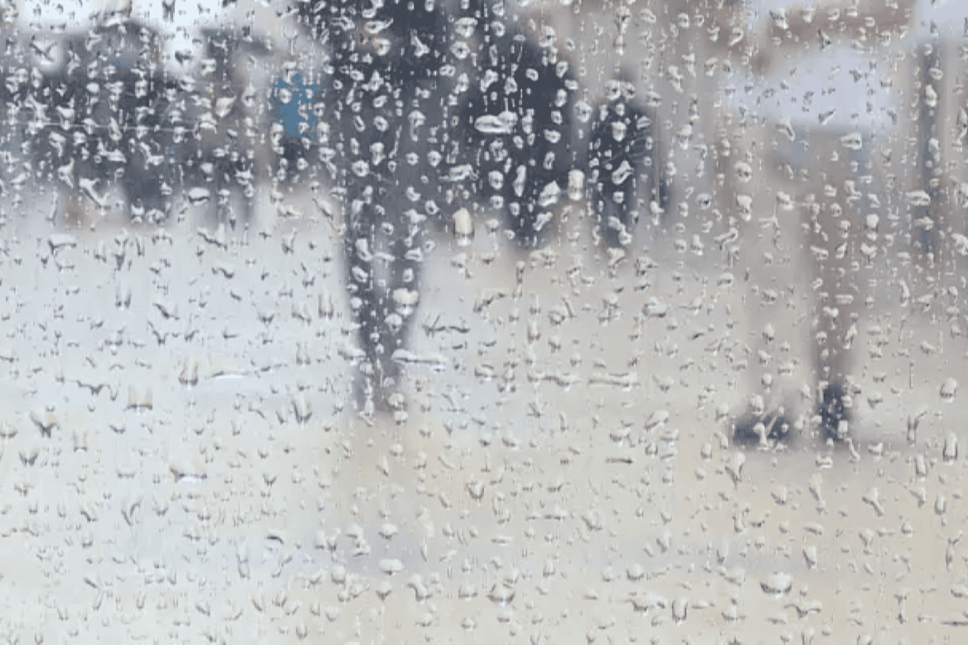 Braga entre os três distritos do continente sob aviso laranja devido à chuva e vento&nbsp;