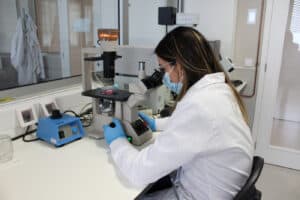 UMinho é a instituição nacional com mais pedidos de "famílias de patentes"