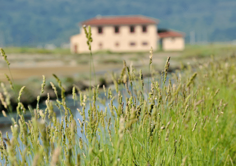Conselho Nacional do Ambiente dá parecer negativo à alteração da lei dos solos