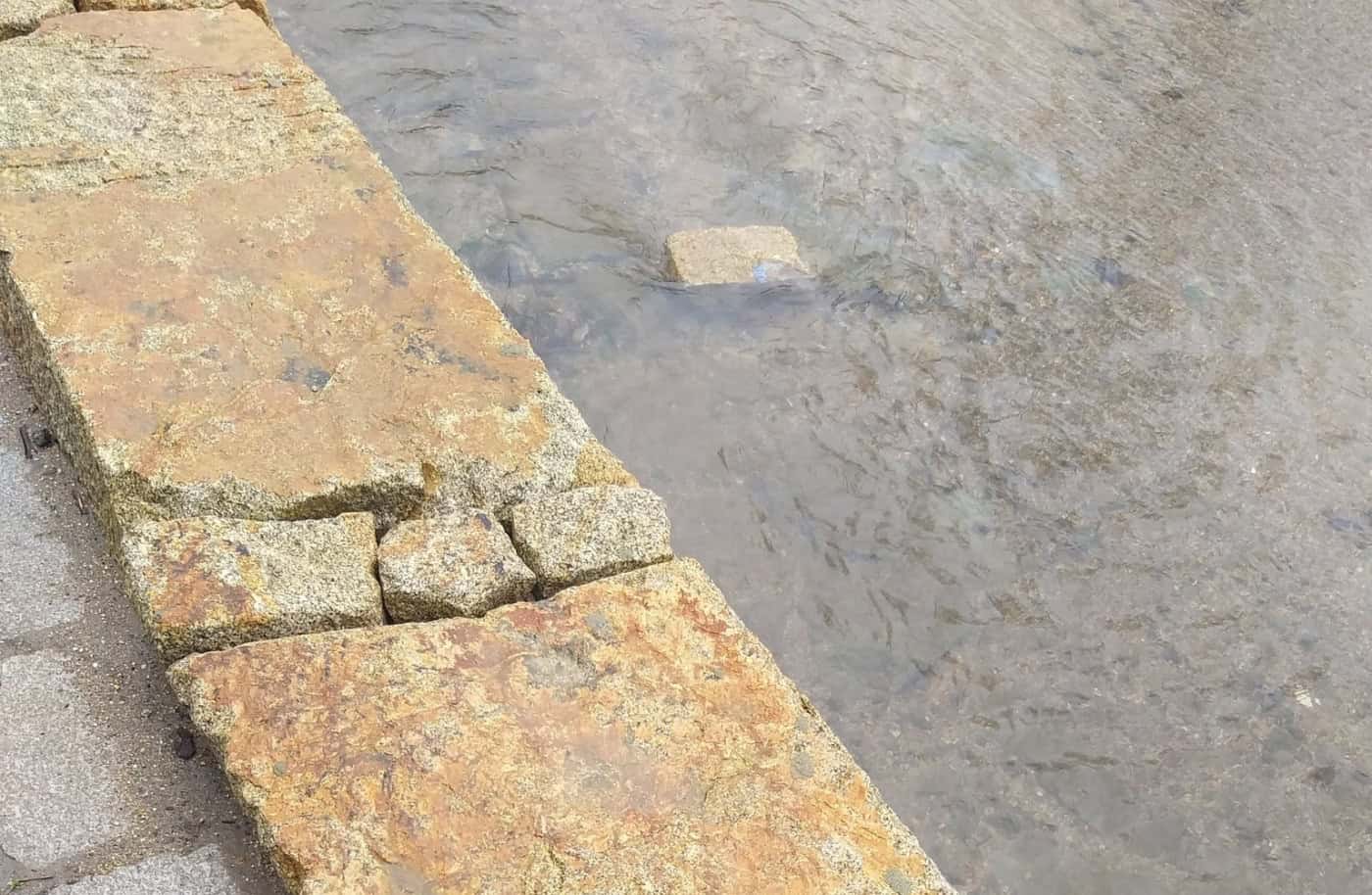 Vereador do Ambiente condena vandalismo junto ao rio Este&nbsp;