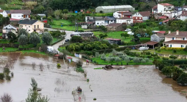 Proteção Civil registou 48 ocorrências até às 07:00