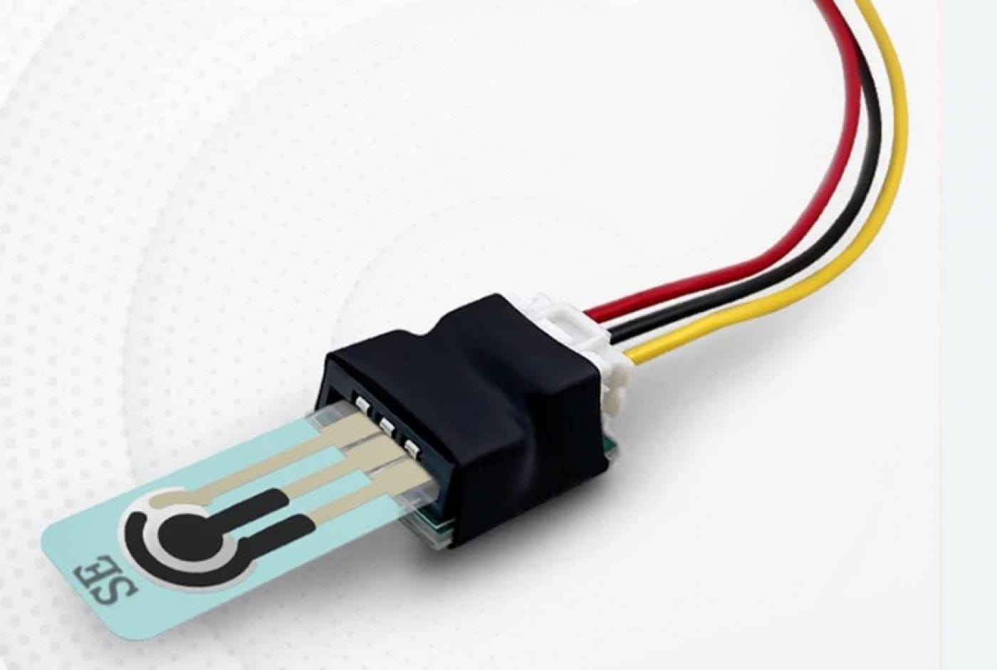 Investigador da UMinho desenvolve sensor que deteta toxinas no peixe