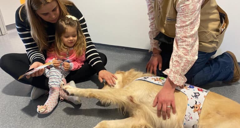 "Se a criança está a sorrir, tudo é mais fácil". Pediatria da ULS Braga recebe visita semanal de cães de assistência