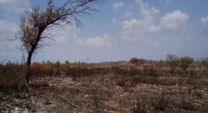 Governo investe 52 milhões de euros na prevenção de incêndios rurais&nbsp;