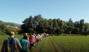 Câmara promove o 'TOURING 2025' para caminhar e conhecer Barcelos