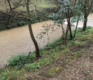 Proteção Civil identifica origem de descarga ilegal no Rio Este