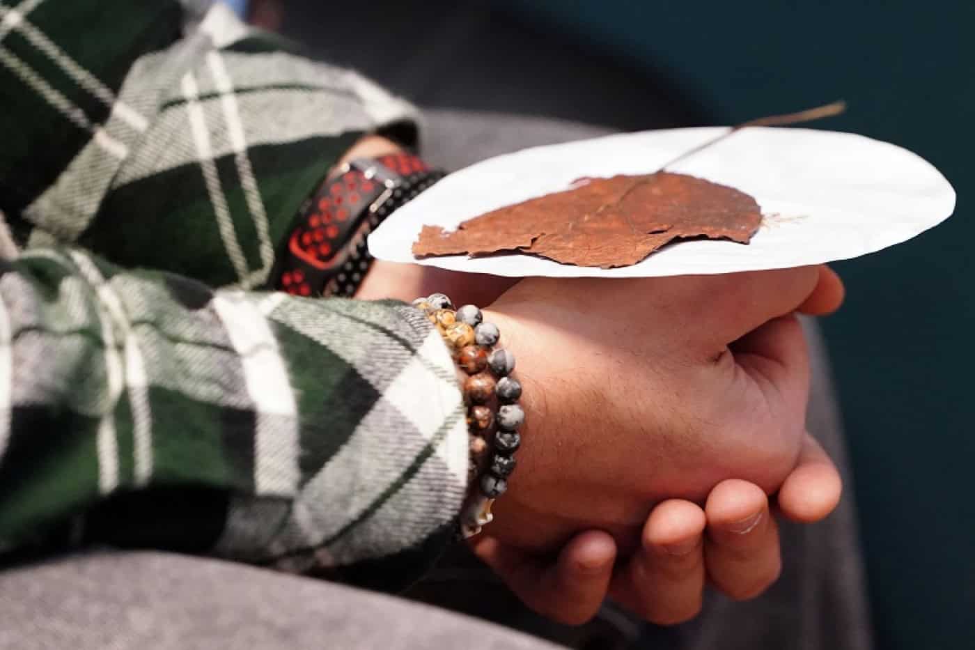 ATLAS levou workshop de mediação artística à Biblioteca Lúcio Craveiro da Silva