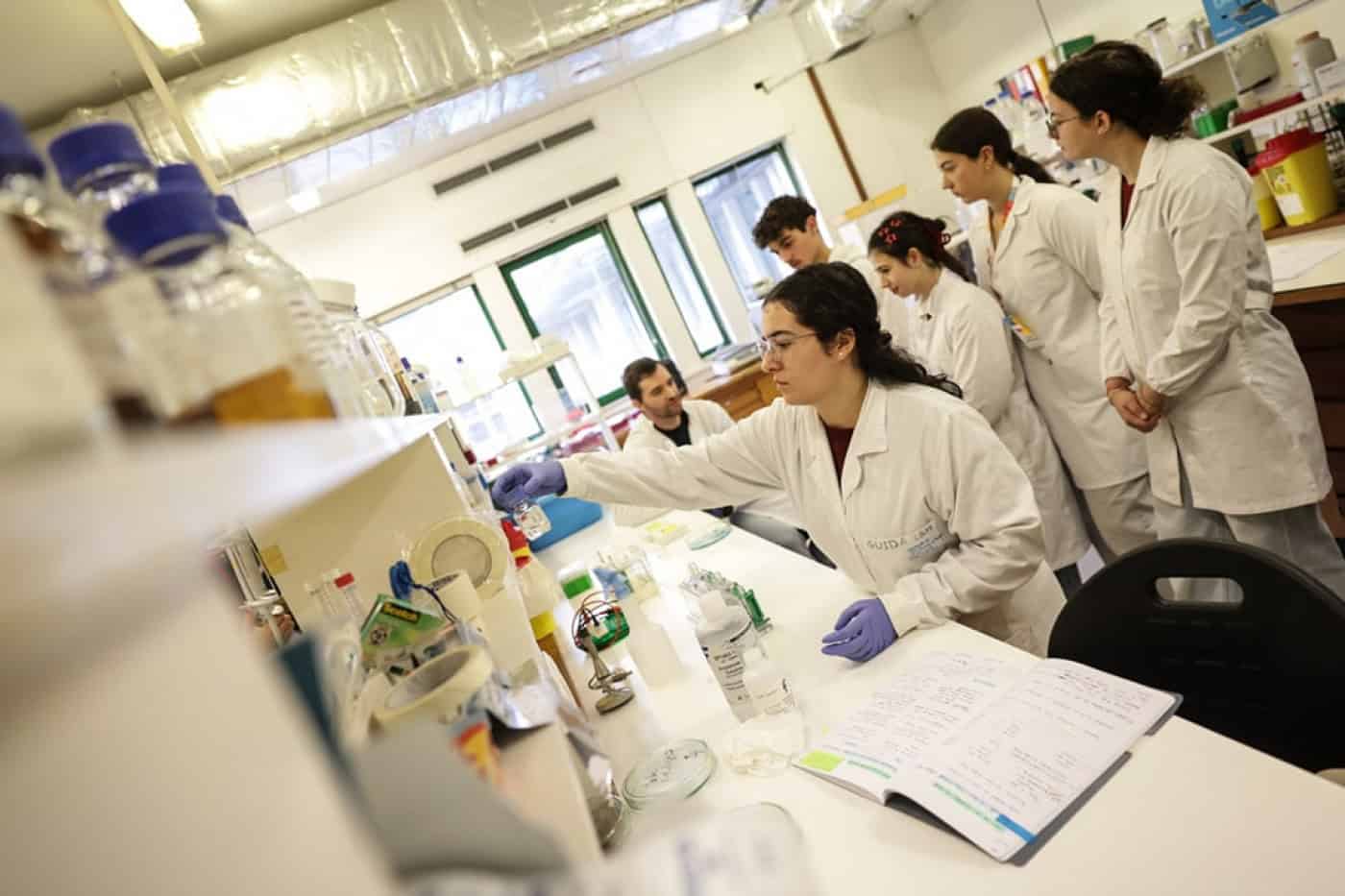 Acesso ao ensino superior com número de vagas mais alto de sempre&nbsp;