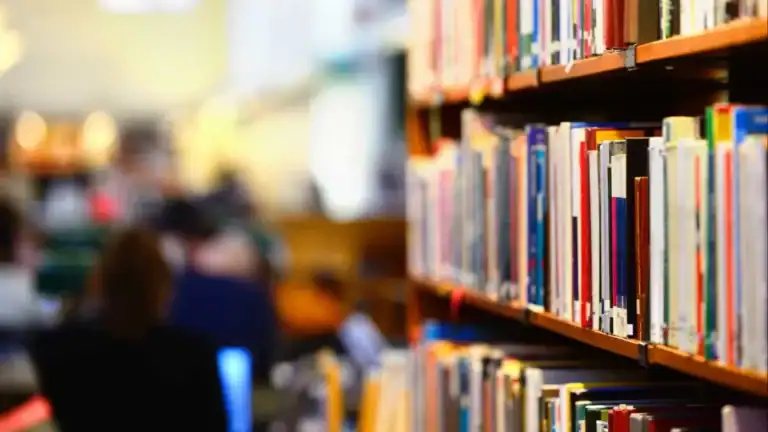 Crianças do interior sem acesso ao ensino artístico articulado - especialista