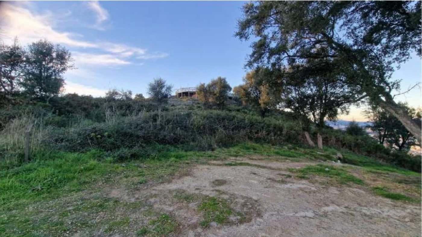 Construção de um bar/restaurante no Monte do Picoto gera embate entre CMB e o PS