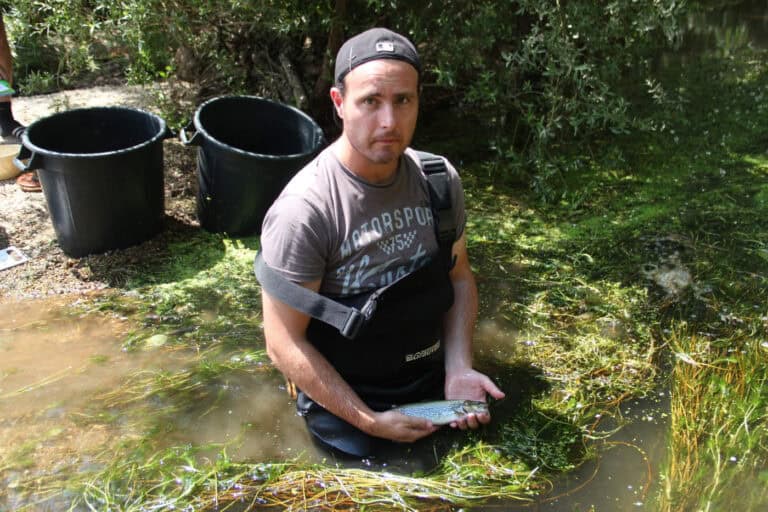 Cientistas mostram que é arriscado comparar a migração humana com as invasões biológicas